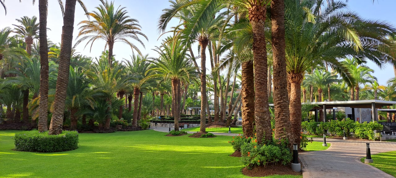 Gartenanlage Hotel Riu Palace Oasis