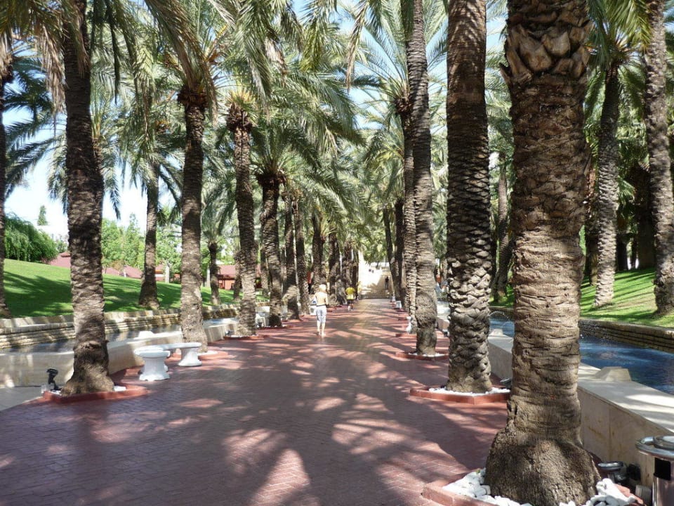 Die Palmenallee Monachus Family Resort Sorgun