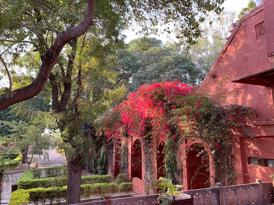 Gartenanlage Hotel Gajner Palace