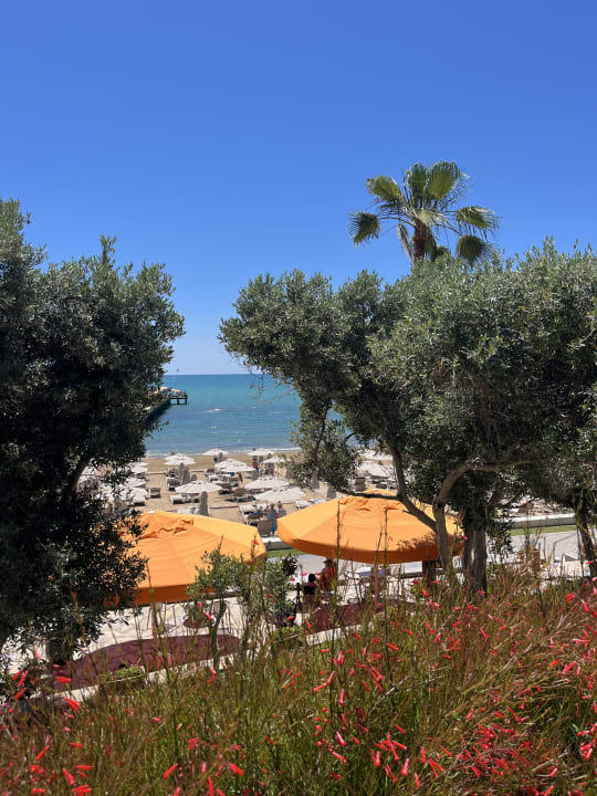 Ausblick Arum Barut Collection