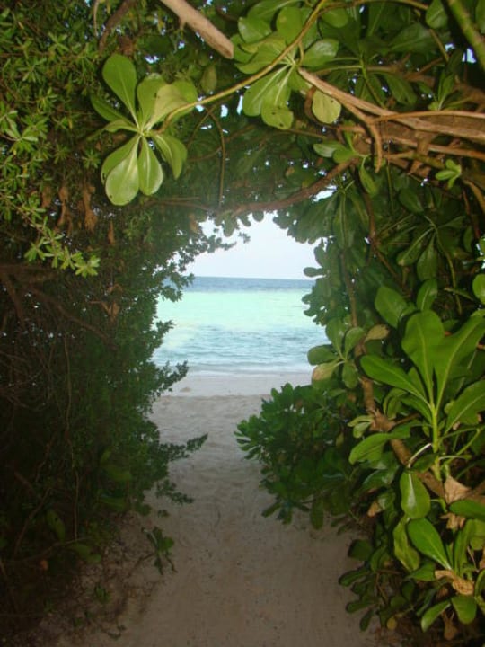 Unser Weg zur Strand Biyadhoo Island Resort