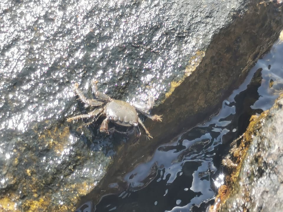 Sonstiges Corissia Beach Hotel