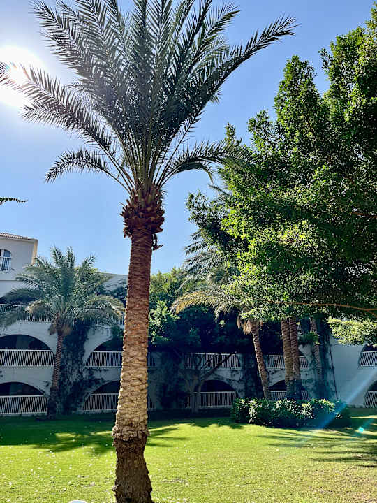 Außenansicht Desert Rose