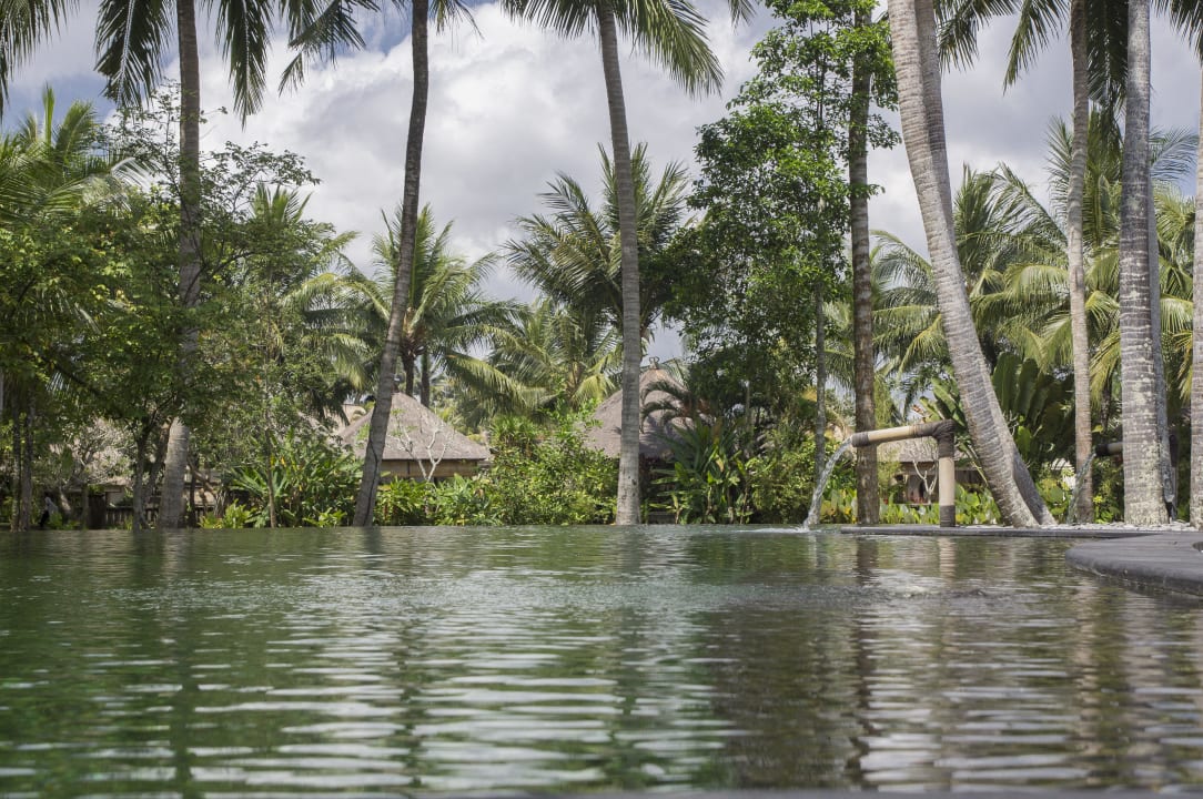Pool The Ubud Village Resort & Spa