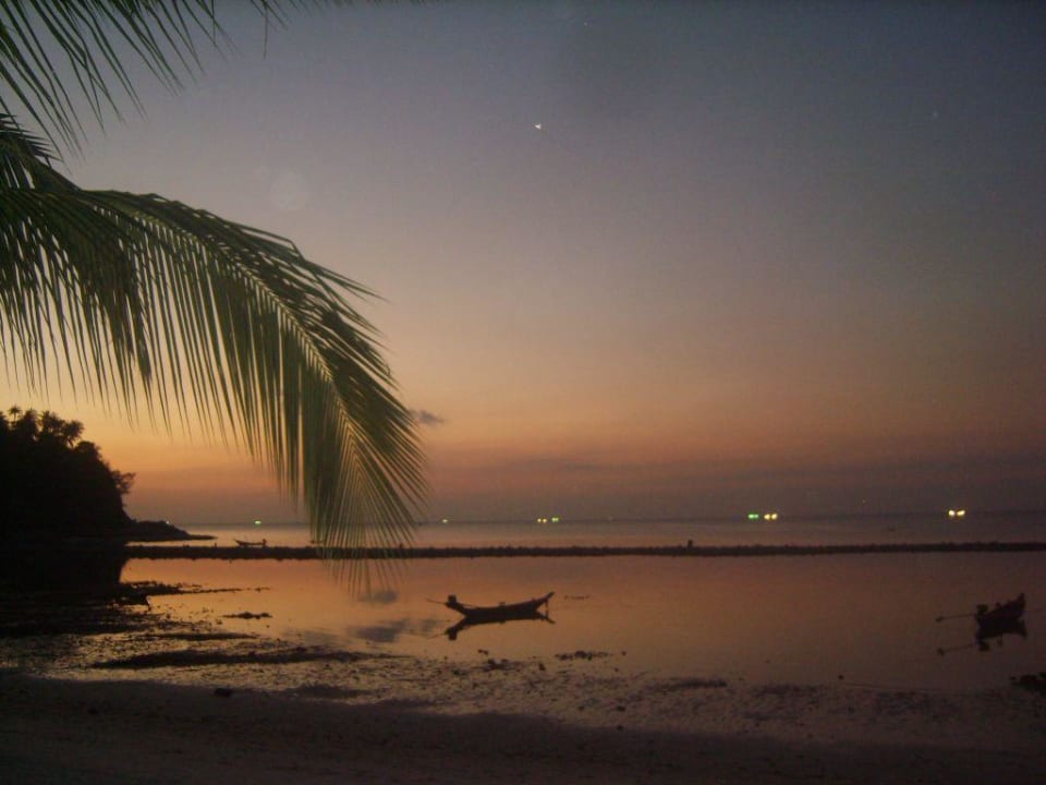 Restaurant-Ausblick am Abend Hotel Salad Hut