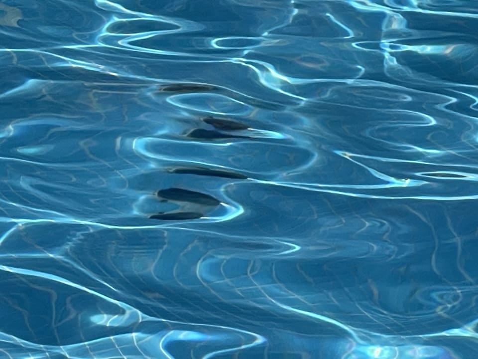 Pool Hotel Eden Star