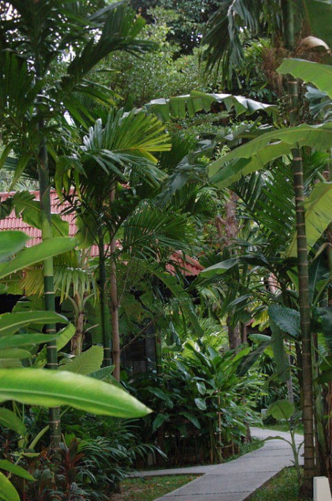 Garten NH Collection Samui Peace Resort