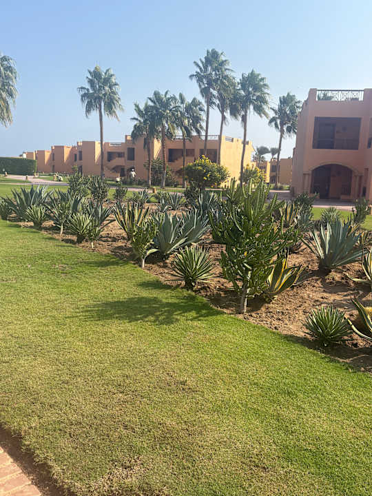 Gartenanlage Jaz Grand Marsa