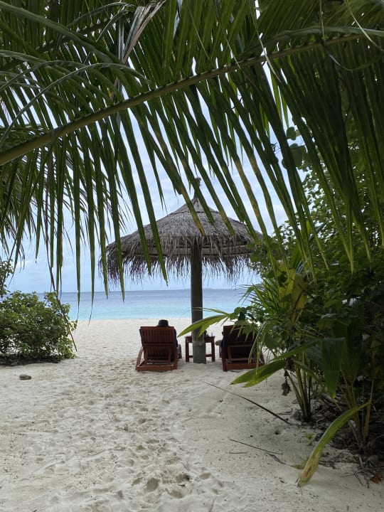 Zimmer ROBINSON MALDIVES