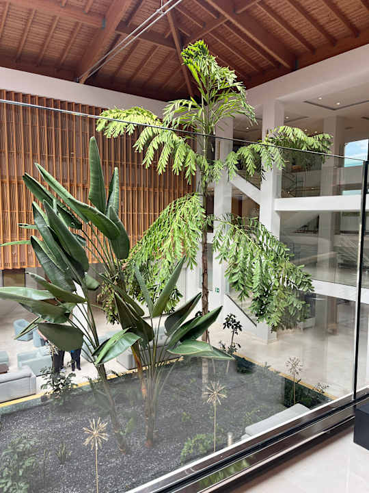 Lobby Hipotels Barrosa Park