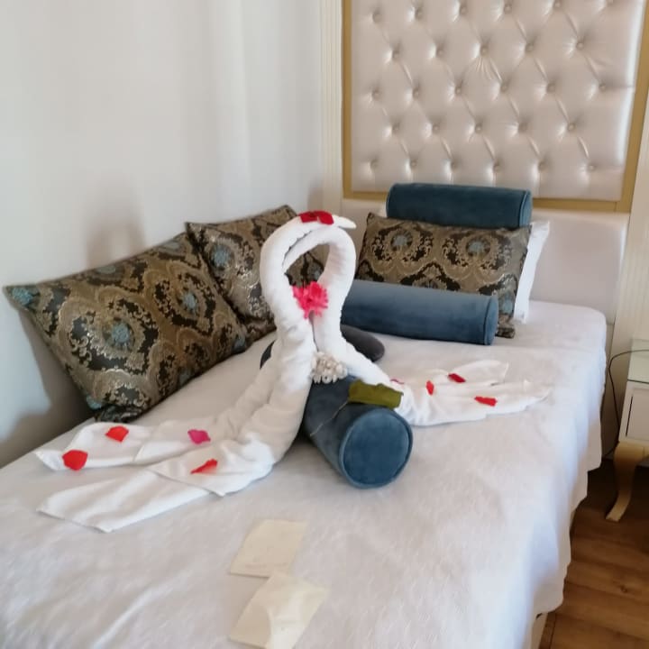 Zimmer Haydarpasha Palace