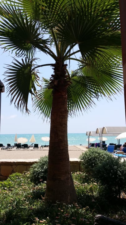Snackbar Megasaray Club Belek