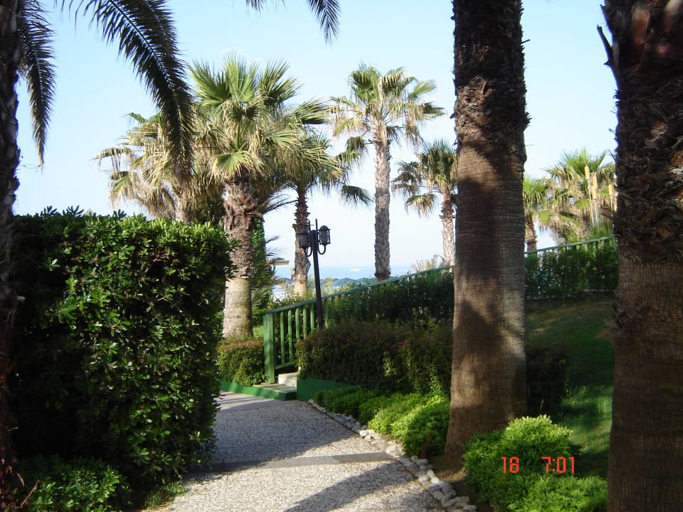 Auf dem Weg zum Strand Paloma Oceana