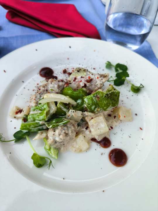 Gastro Seashell Vega