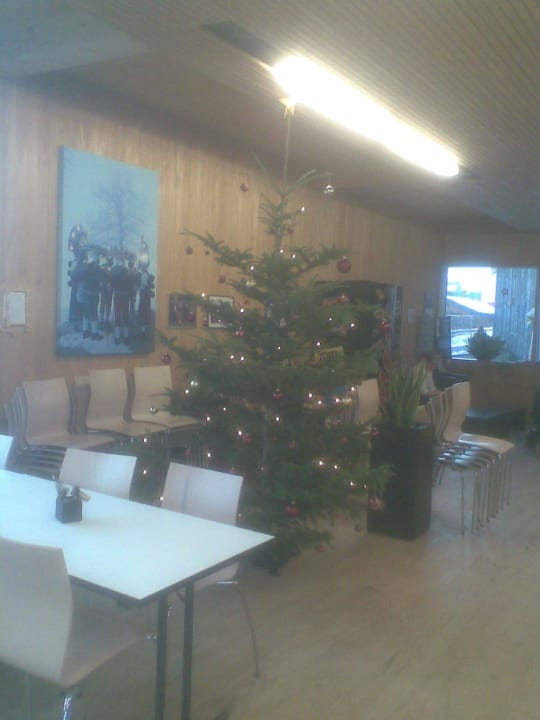 Christbaum in der Buvette Reka-Feriendorf Urnäsch