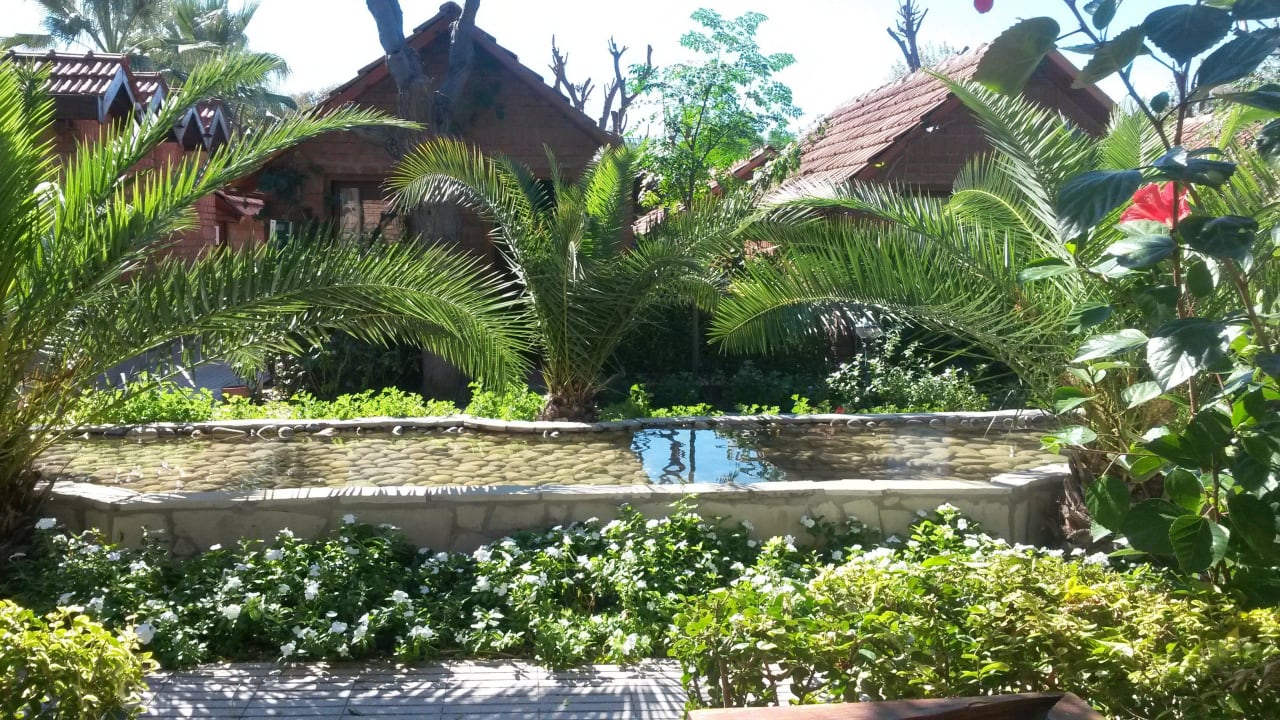 Überall grün Can Garden Beach