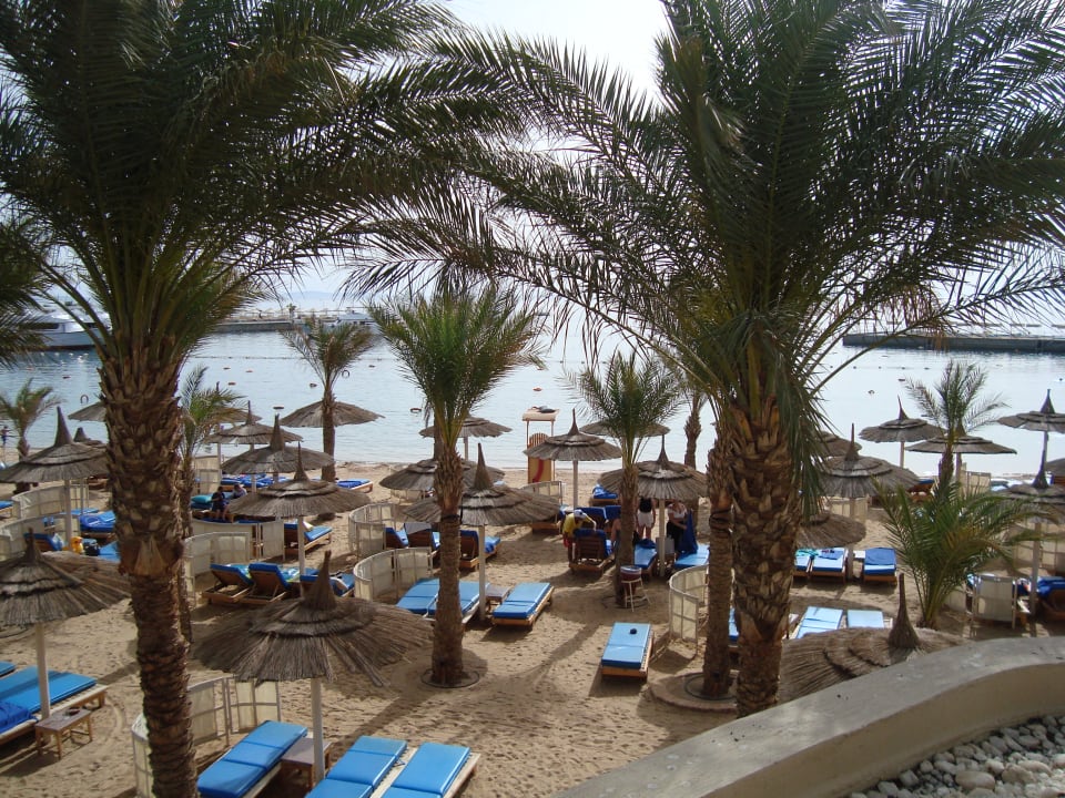 Strand Beach Albatros Resort