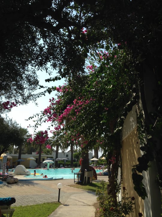 Blick auf Kinderpool TUI KIDS CLUB Alex Beach