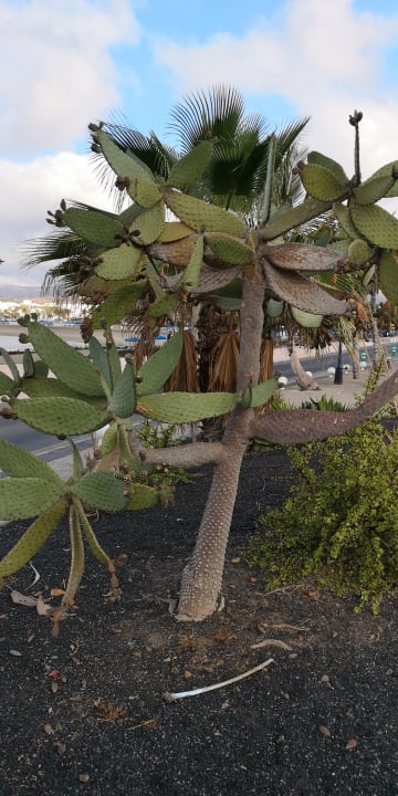 Strand Hipotels La Geria