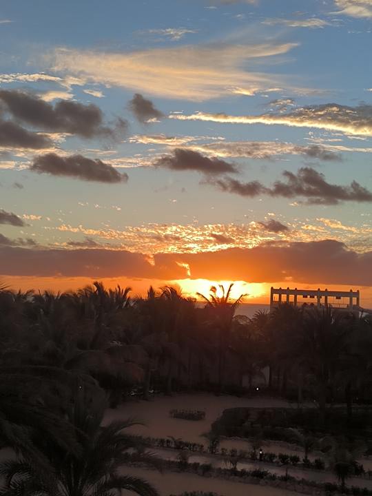 Ausblick Hotel Riu Karamboa