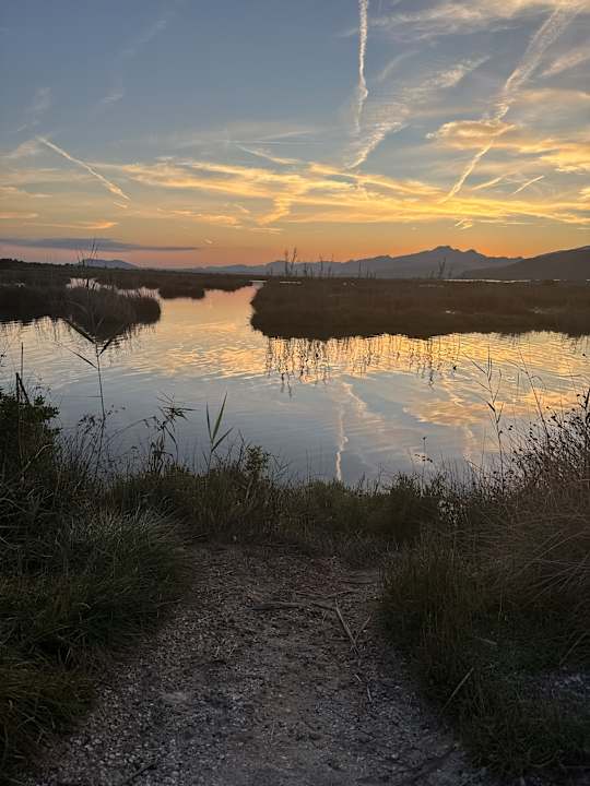 Sonstiges Prinsotel La Dorada