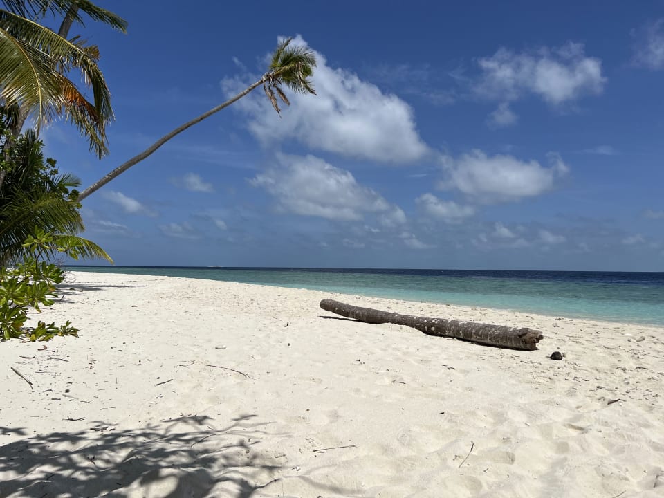 Strand Filitheyo Island Resort