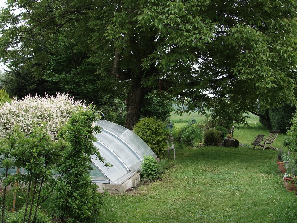 Blick auf den Pool Landhof Liebsch