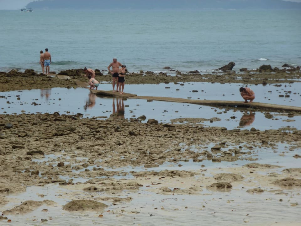 Cape Panwa Hotel in Phuket Thailand  Cape Panwa Hotel