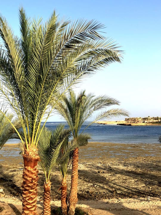 Strand Brayka Bay Resort