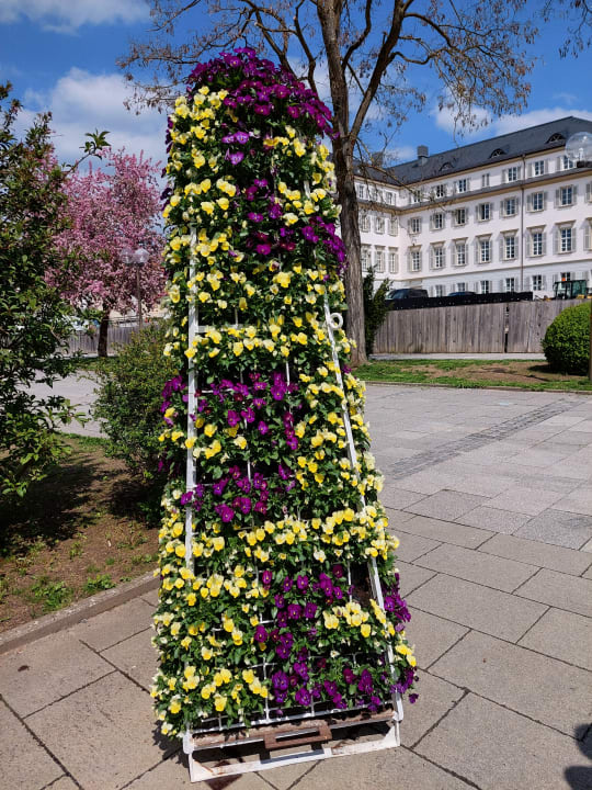 Garten Hotel Frankenland