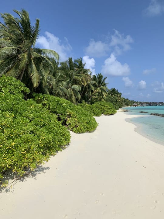 Strand Kuramathi Maldives
