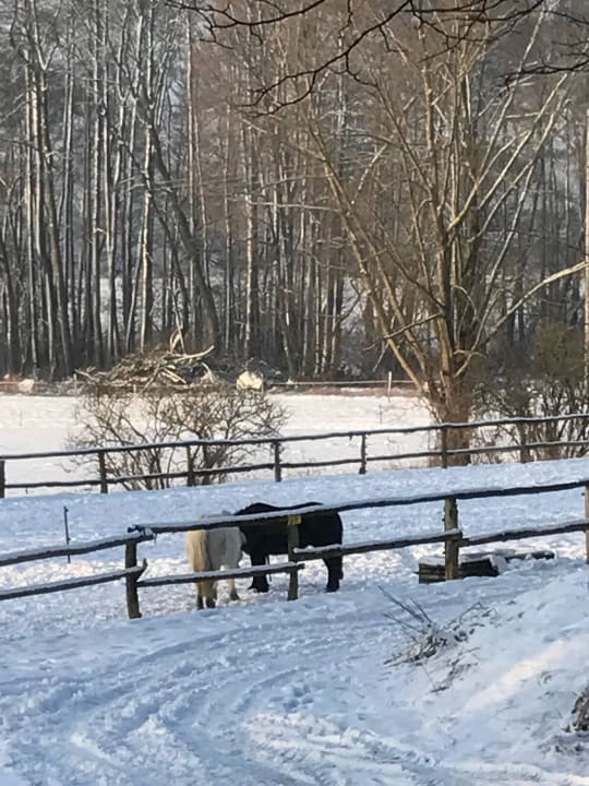 Ruhe und Beschauligkeit Gutshof Woldzegarten