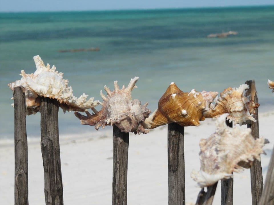 Impressionen Spice Island Hotel & Resort