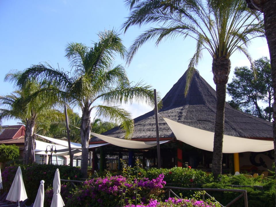 Poolbar des Hotel Viva Blue VIVA Blue & Spa