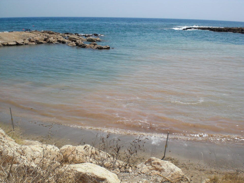 Hotelstrand Crystal Springs Beach Hotel