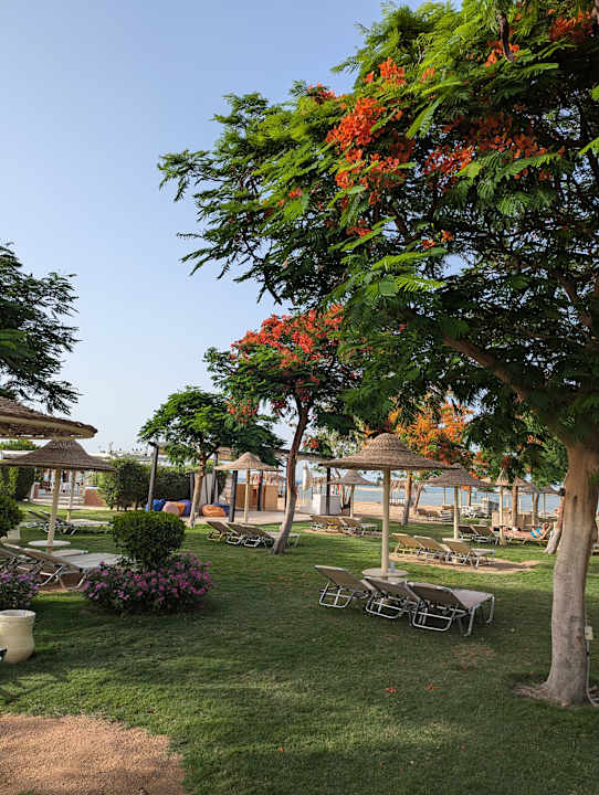 Strand JAZ Aquamarine Resort