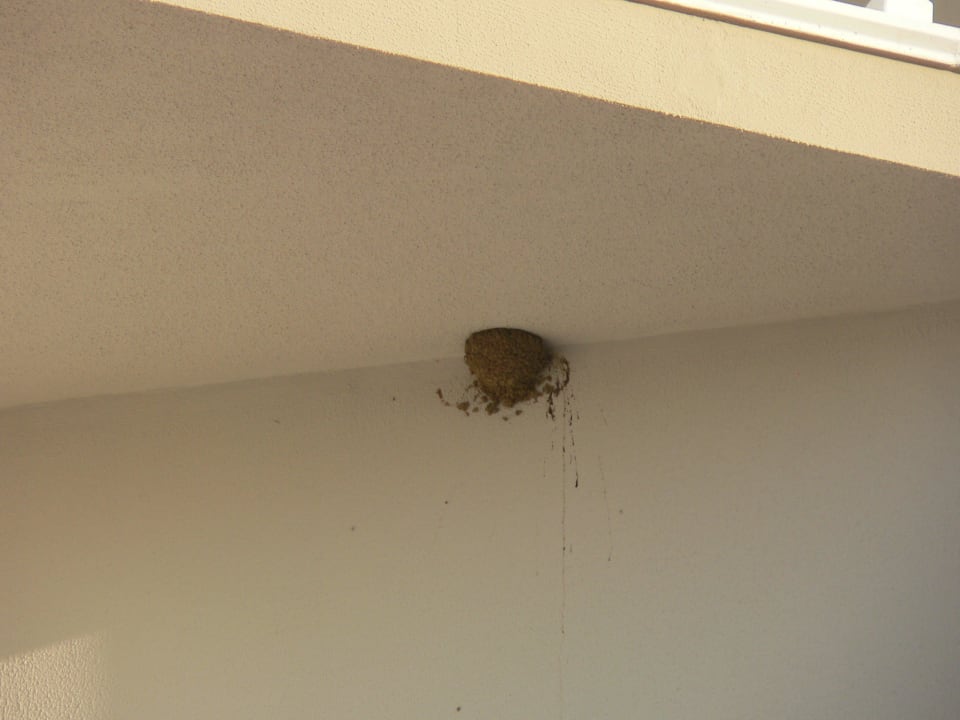 5 gwiazdek Justiniano Deluxe Resort