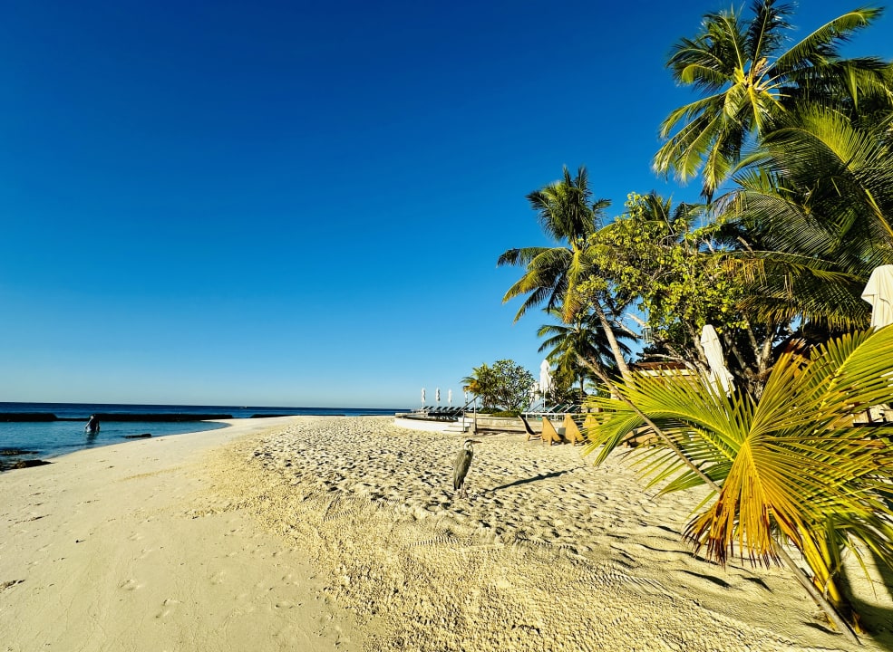Strand Constance Moofushi Maldives