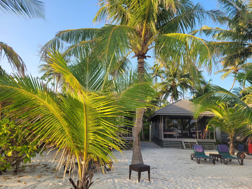 Zimmer Kuredu Island Resort & Spa