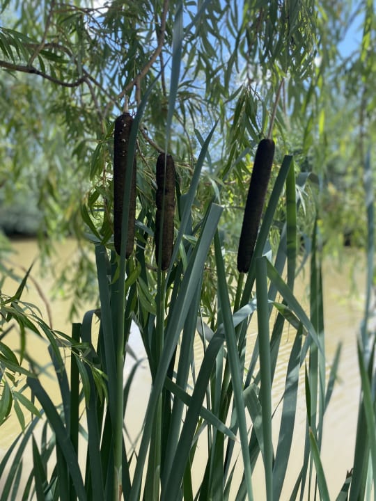 Gartenanlage Zur Grünen Au