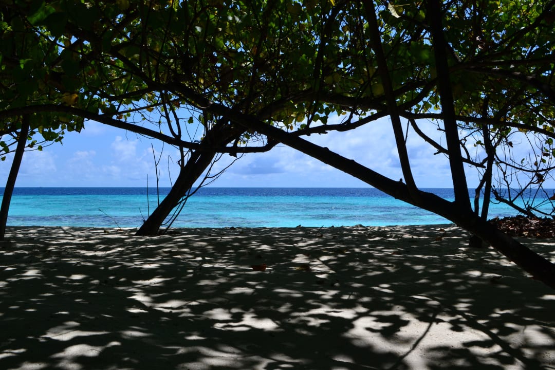 Beach NH Collection Maldives Reethi Resort