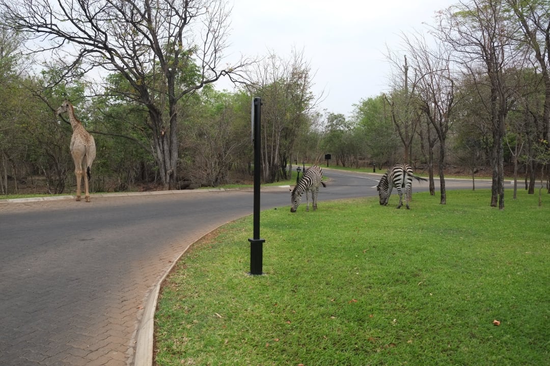 Anlage AVANI Victoria Falls Resort