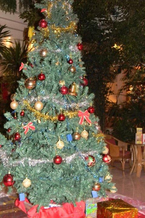 Es stand sogar ein Christbaum in der Lobby! The Grand Hotel Hurghada