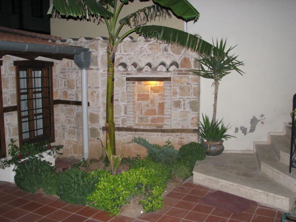 Palme auf Nebenterrasse Dogan Hotel by Prana Hotels & Resorts