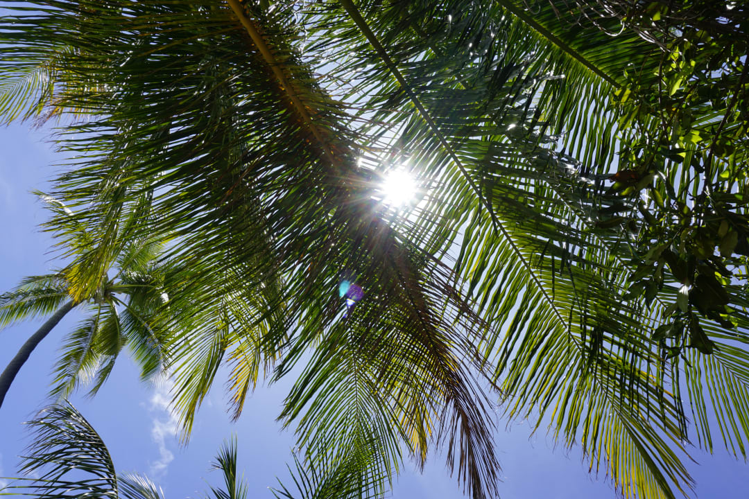 Gartenanlage NH Collection Maldives Havodda Resort