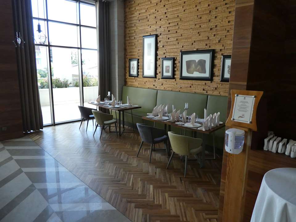 Gastro Acanthus Cennet Barut Collection