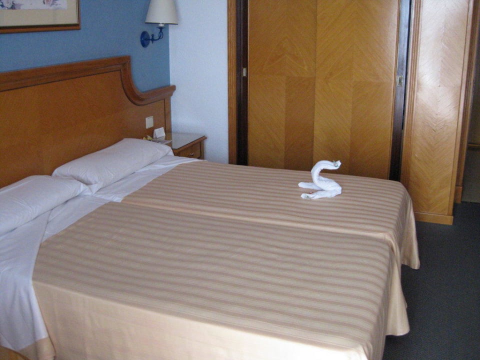 Zimmer Hotel Riu Bravo