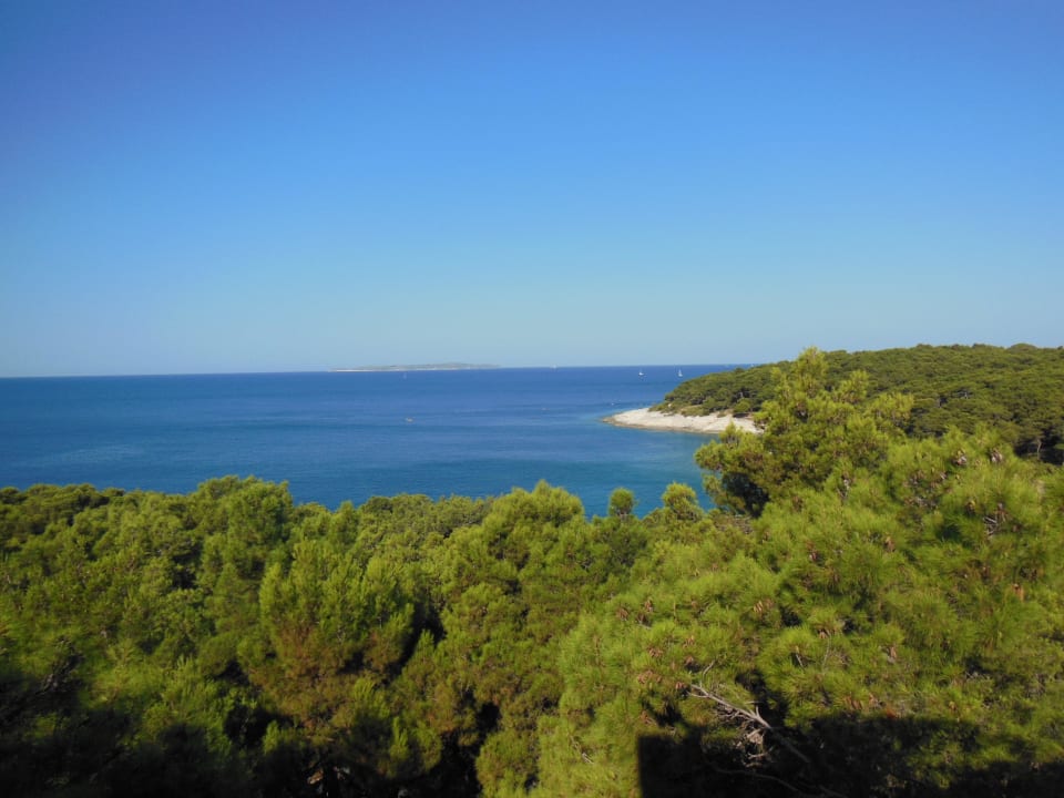 Ausblick vom Premium-Zimmer Nr. 4057 Hotel Aurora