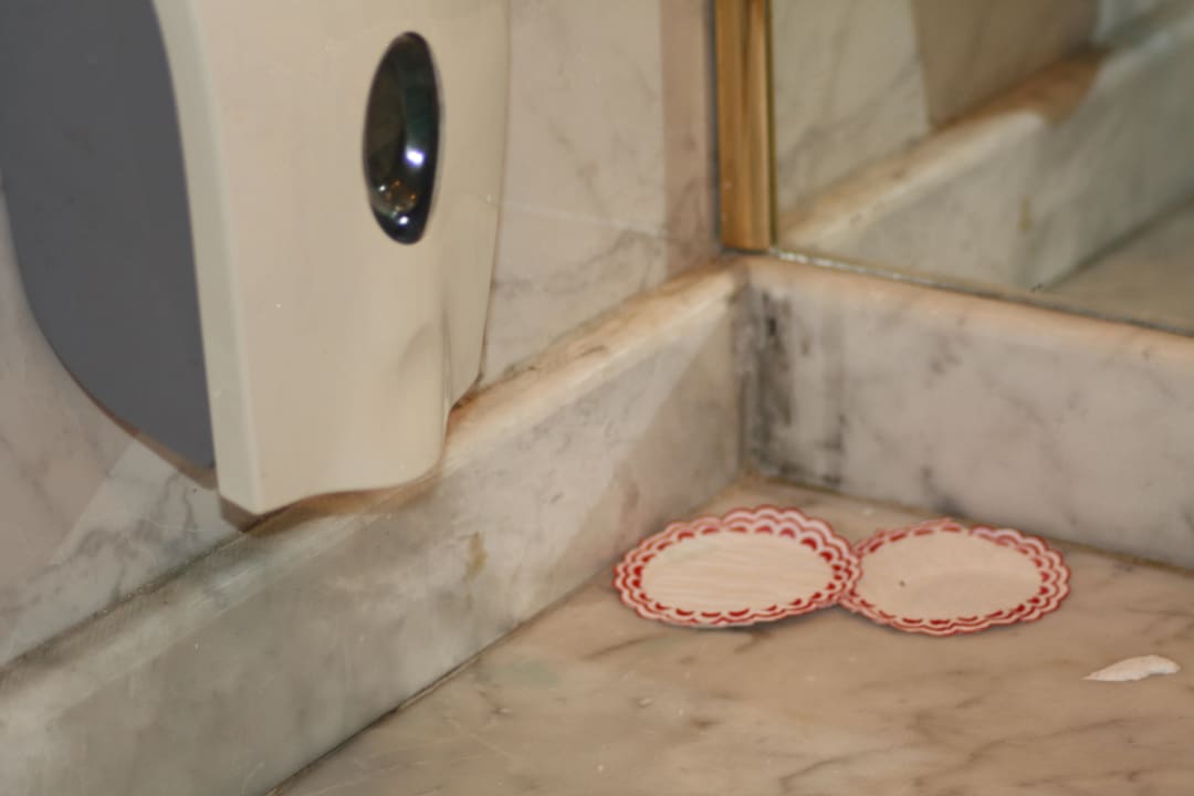 Łazienka po sprzątaniu  Desert Rose