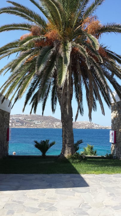 Mit Ausblick aufs Meer Mykonos Theoxenia, a member of Design Hotels